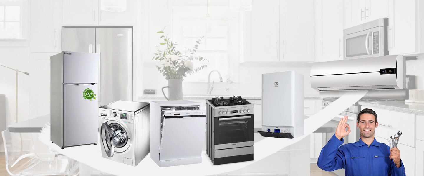 Hamur Warmhaus Servisi